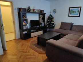 Apartment Knez